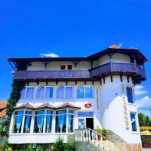 Vila Belvedere Hotel Hateg Exterior photo