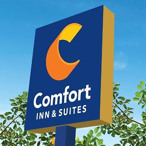 Comfort Inn & Suites Houston Exterior photo