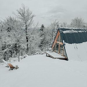 A-Frame Forest Nest Villa Cerklje na Gorenjskem Exterior photo