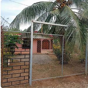 Casa Palmera Villa Puerto Jimenez Exterior photo