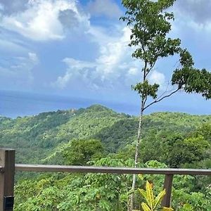 Journey to Paradise , Modern Waterfall Escape Apartment Port Antonio Exterior photo