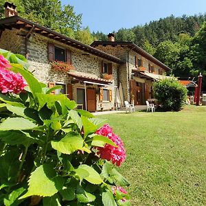 B&B Locanda L'Imposto Pratovecchio Exterior photo