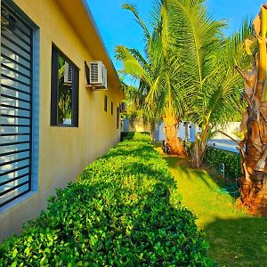 Landing Strip - West Wing Beach House Villa Black River Exterior photo