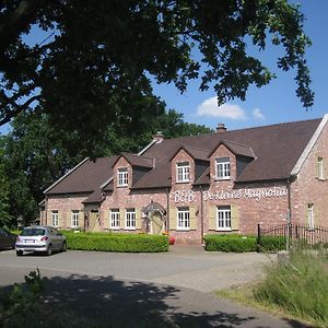 Bed & Breakfast De Kleine Magnolia Bed & Breakfast Tessenderlo Exterior photo