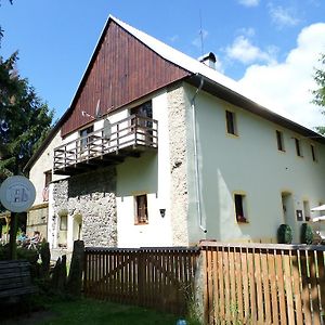 Bed And Breakfast Tvrz Velka Bukovina Exterior photo