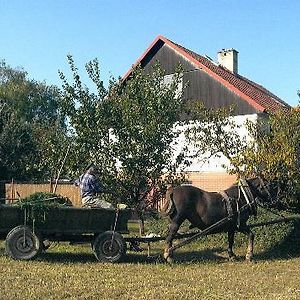 Platanus Bed & Breakfast Beckov Exterior photo