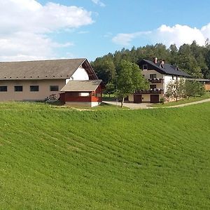 Apartment Vrtacnik Stefanja Gora Exterior photo