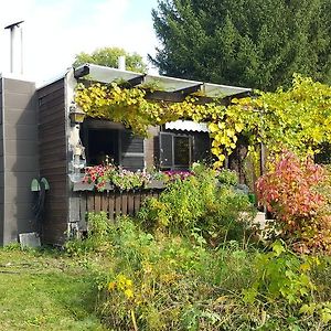 Gemuetliches Ferienhaus Mit Grossem Garten, Ideal Fuer Naturliebhaber Villa Gerhardshofen Exterior photo