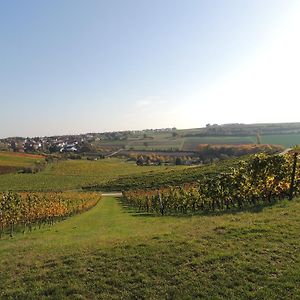 Weingut Seck Hotel Dolgesheim Exterior photo