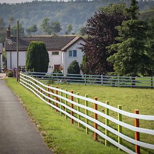 Glan Llyn Farm House Villa Mold Exterior photo