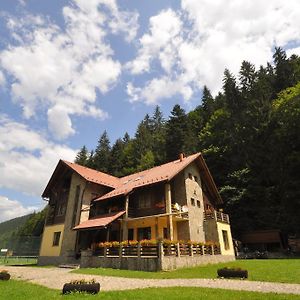 Pensiunea Denisa Hotel Lunca Bradului Exterior photo