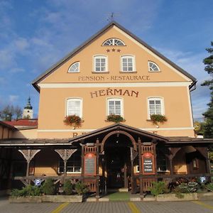 Pension Herman Hotel Rudnik Exterior photo