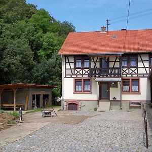 Pferdehof Und Wanderreitstation Doersam Villa Moerlenbach Exterior photo