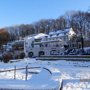 Hotel U Kozicky Teplice Exterior photo