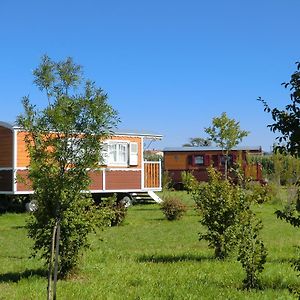 Les Roulottes-Gites De La Ferme De L'Autruche Dromoise Livron-sur-Drome Exterior photo