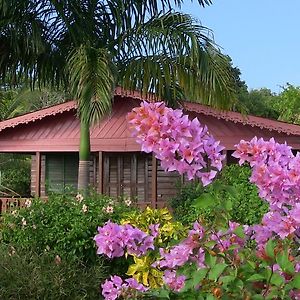 Little Bay Beach House Villa Exterior photo