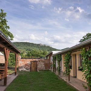 Penzion Marhulka Hotel Dolni Vestonice Exterior photo