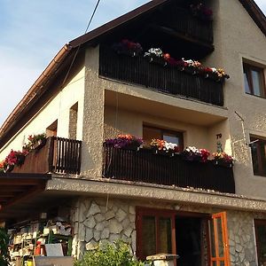 Apartmany Sharka -Sarka Justrova Decin Exterior photo