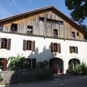 Le Polder Apartment Le Paquier  Room photo