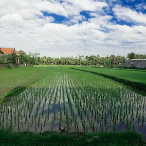 Canang Sari House Hotel Ubud  Exterior photo