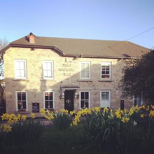 The Badger Inn Carbis Bay Exterior photo