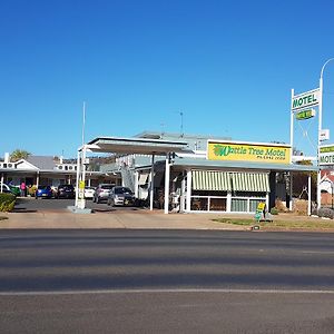 Wattle Tree Motel Cootamundra Exterior photo