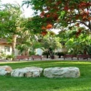 Kibbutz Almog Hotel Exterior photo