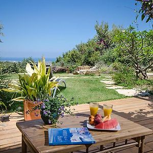 Above The Sea Bed & Breakfast Ein Hod Exterior photo