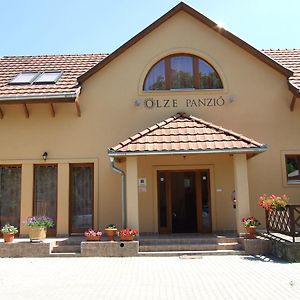 Olze Panzio Bed & Breakfast Erdobenye Exterior photo