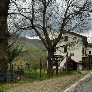 Albergo Ristorante La Selva Orsigna Exterior photo