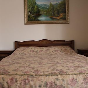 Gostyniy Dvir Synevir Hotel Synevyr Room photo