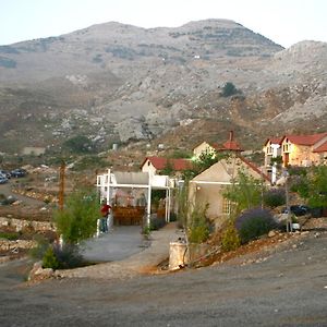 Soha Village Resort Falugha Exterior photo