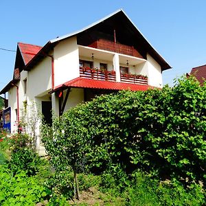 Pensiunea Casa Elena Corbeni Exterior photo