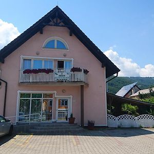 Penzion Zeleni Kakadu Bed & Breakfast Maribor Exterior photo