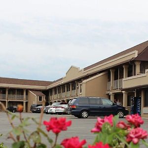 American Inn And Suites Countryside Exterior photo