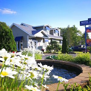 Motel Des Cedres Sherbrooke Exterior photo