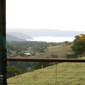 Top Cottage At Maleny Wootha Exterior photo