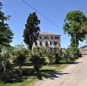 Aube Nouvelle Hotel Durfort-Lacapelette Exterior photo