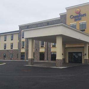 Comfort Inn White House Exterior photo