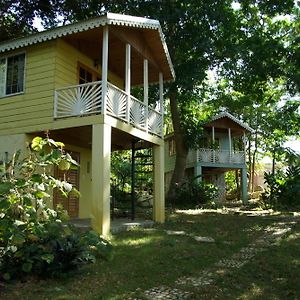 Sunset Heal Jamaica Hotel Caledonia Exterior photo