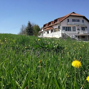 Kavana I Sobe Monika Hotel Grabrovnik Exterior photo