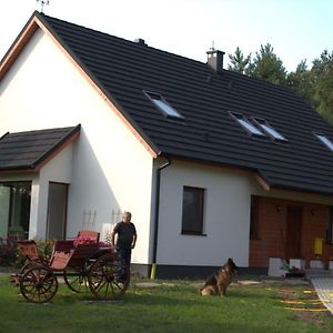 Koci Grzbiet Agroturystyka Villa Dzierzazno Wielkie Exterior photo