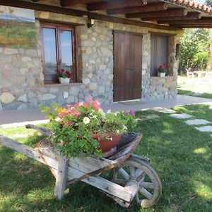 Monte Lago Bed & Breakfast Polpenazze del Garda Exterior photo