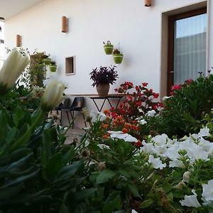 Colle Carro Bed & Breakfast Poggiorsini Exterior photo