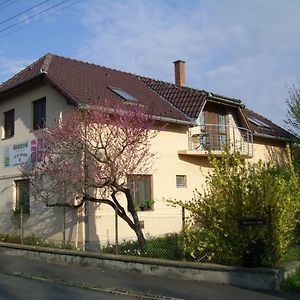 4Fenyo Maganszallas Nagyatad Apartment Exterior photo