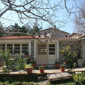 Arcadia Eressos Hotel Exterior photo