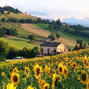 Casale Delle Rondini Bed & Breakfast Tolentino Exterior photo