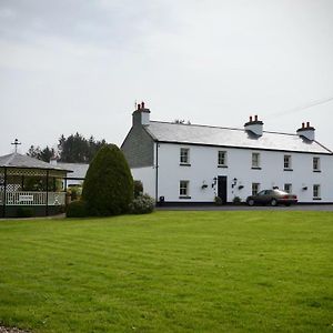 Cartron House Bed & Breakfast Ballinakill  Exterior photo