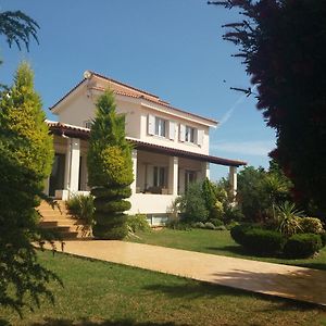 Beautiful Summer Villa In Chalkoutsi Khalkoutsion Exterior photo