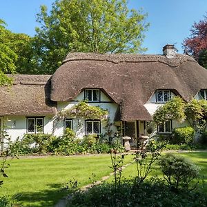 Thatched Eaves Bed & Breakfast Ibsley Exterior photo